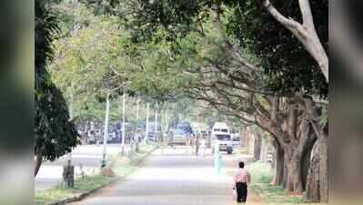 From visual checks to sonic scans: Bengaluru’s trees set for high-tech health check