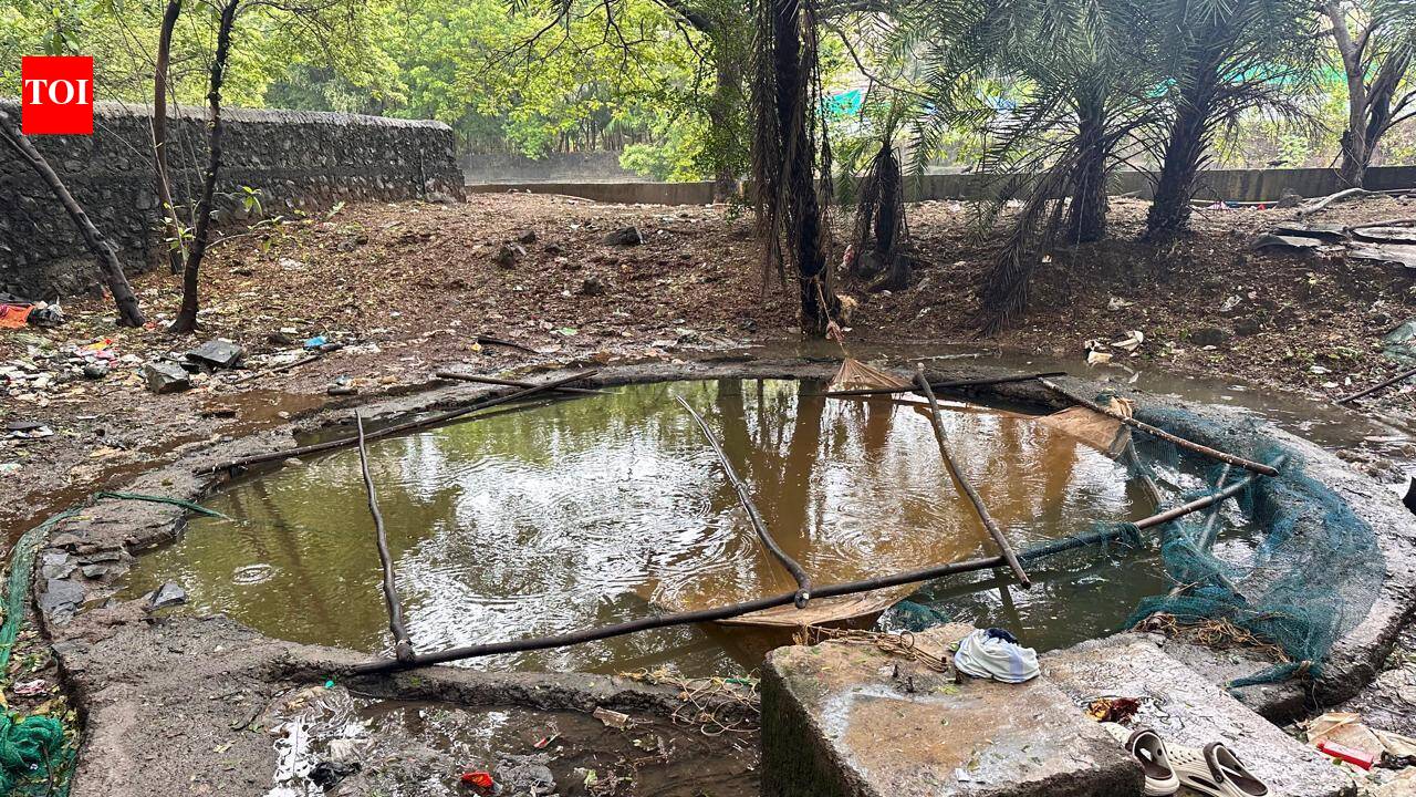 Two youngsters drown in Mumbai’s Kandivli suburb in 1 day
