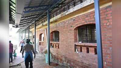 Corp accelerates plan to relocate 245 street dogs to shelter homes