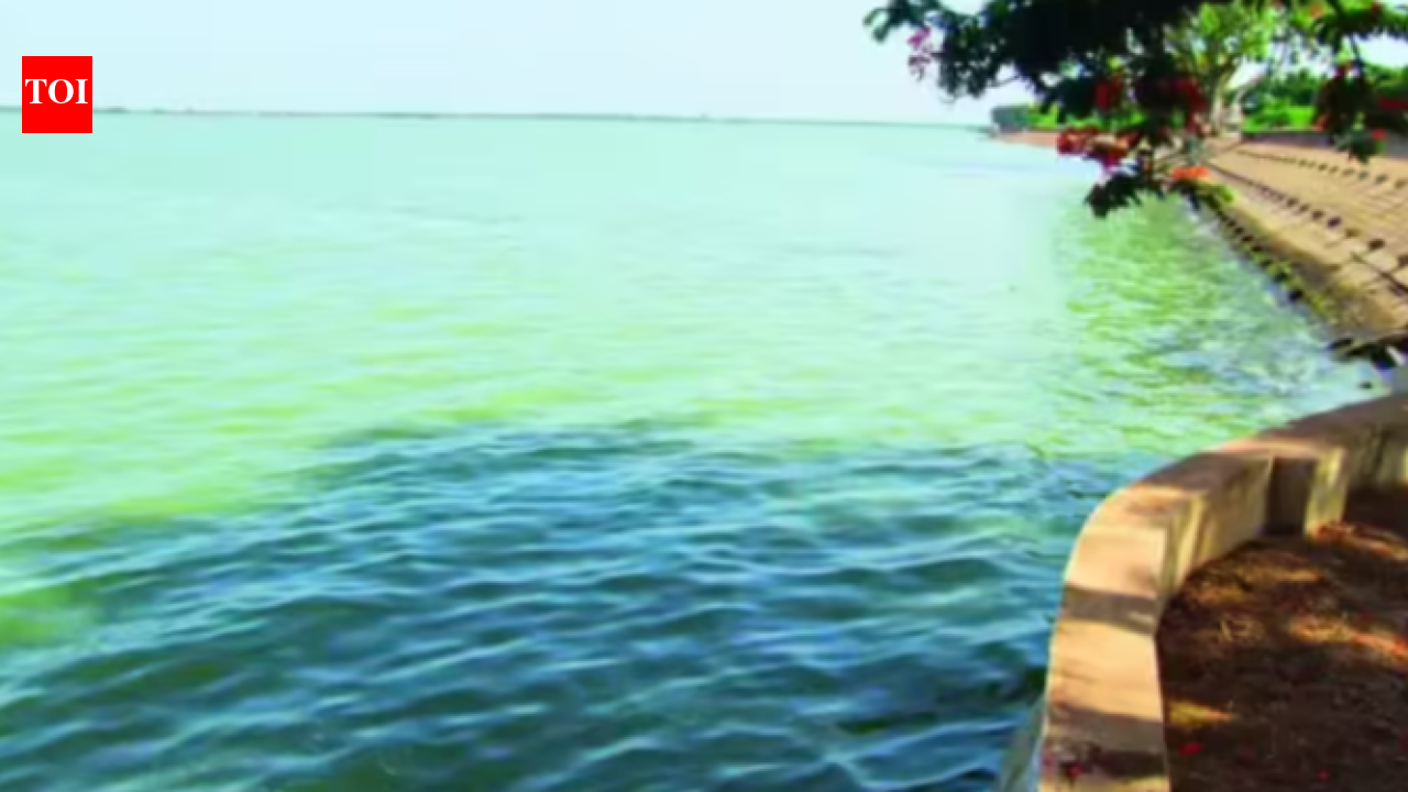Veeranam starts filling up, but Chennai needs a good monsoon