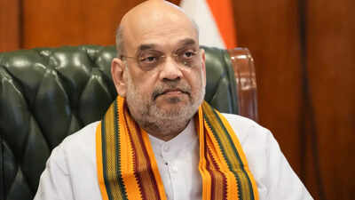 Amit Shah to chair border SPs conference on infiltration, illegal immigration, demographic changes