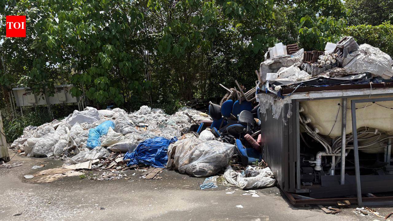 Eloor municipality issues notice to KSIE over unhygienic premises after dengue cases