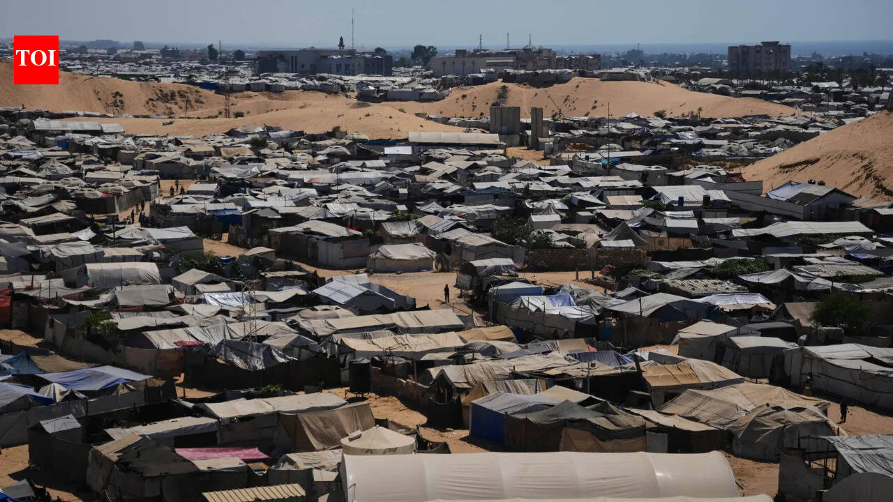 Trump's Board of Peace planning pilot 'humanitarian zone' in south Gaza: Official