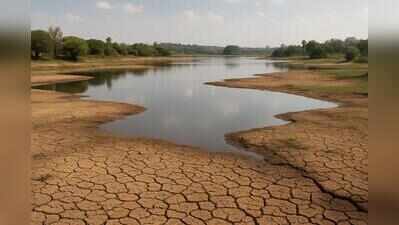 Raith Horata Samiti urges govt to implement drought relief measures