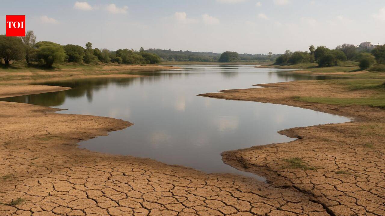 Raith Horata Samiti urges govt to implement drought relief measures