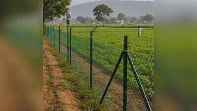 Agri dept drafts fencing policy to protect crops from wildlife, stray animals