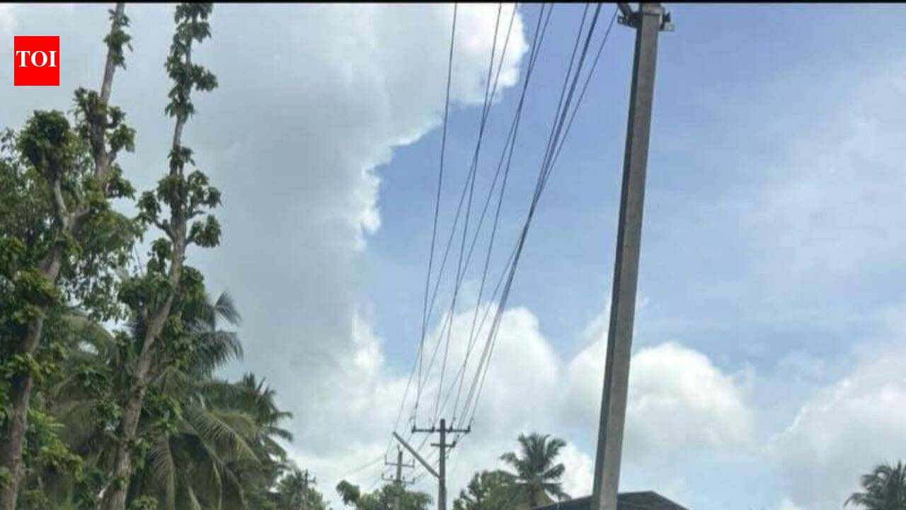 Elderly couple killed in a freak accident after electric pole gets uprooted and falls on them