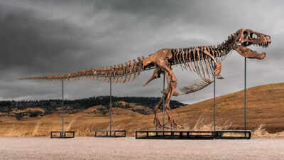 t-rex.jpg
