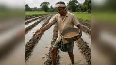 Monsoon rain boosts Kharif crop prospects in state