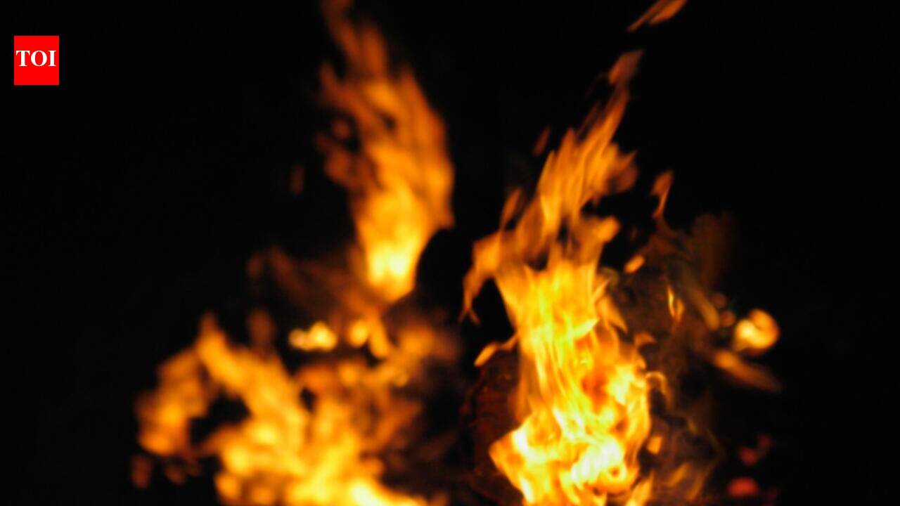 Elderly woman injured as gas leak sparks fire in Ghaziabad home