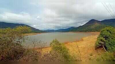 BJP MLA brings up Mulshi dam water use for city, minister says meeting this week