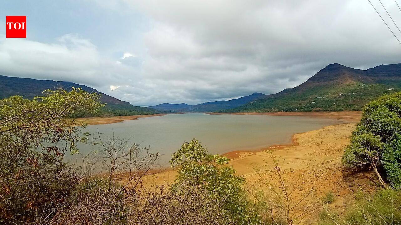 BJP MLA brings up Mulshi dam water use for city, minister says meeting this week