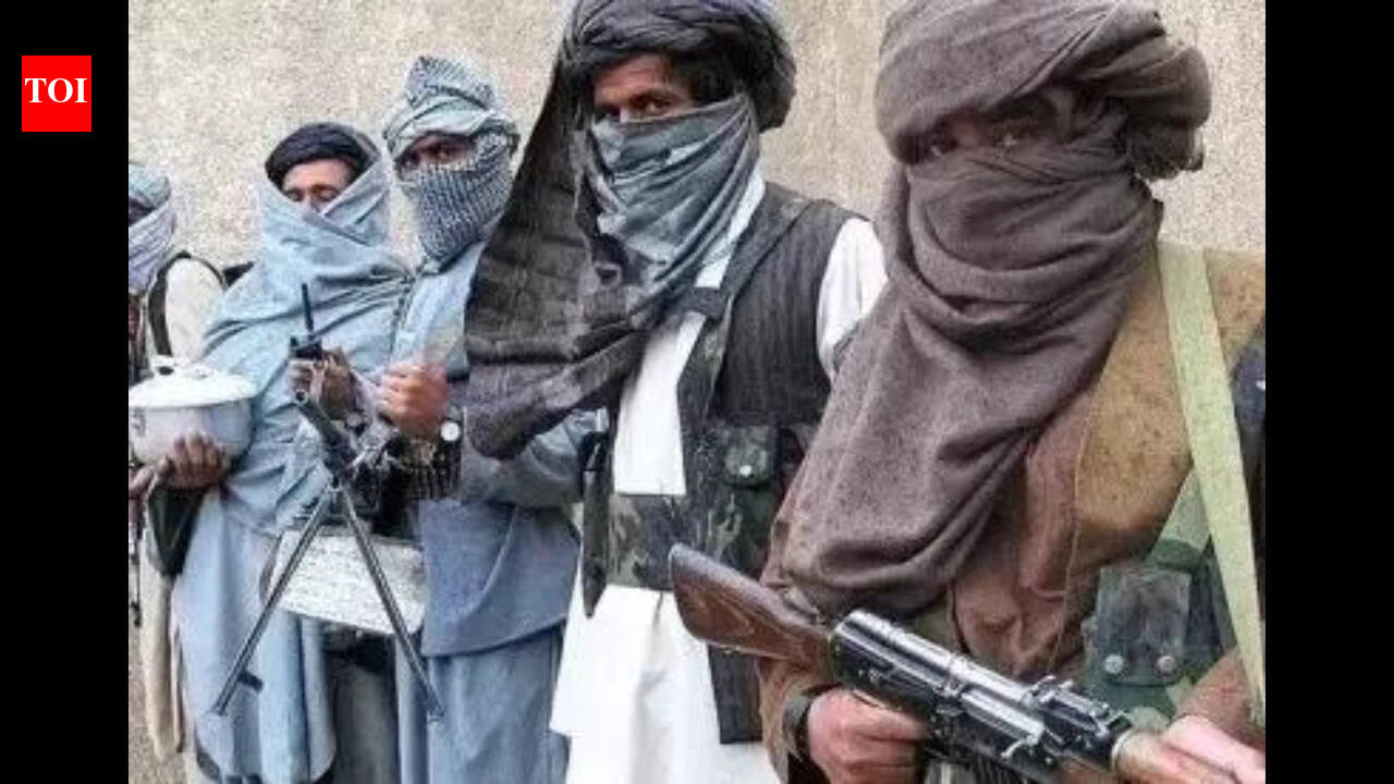 Insurgents kill 18 cops, 11 soldiers abducted this week in southwest Pakistan