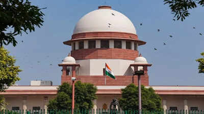 TN in SC for quota benefits to Muslim convert