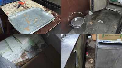 Rats and flies at Mumbai’s iconic K Rustom & Co ice cream parlour, food licence suspended