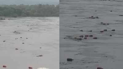 Watch: Heavy rain sends 3,000 LPG cylinders floating down river in Maharashtra's Raigad