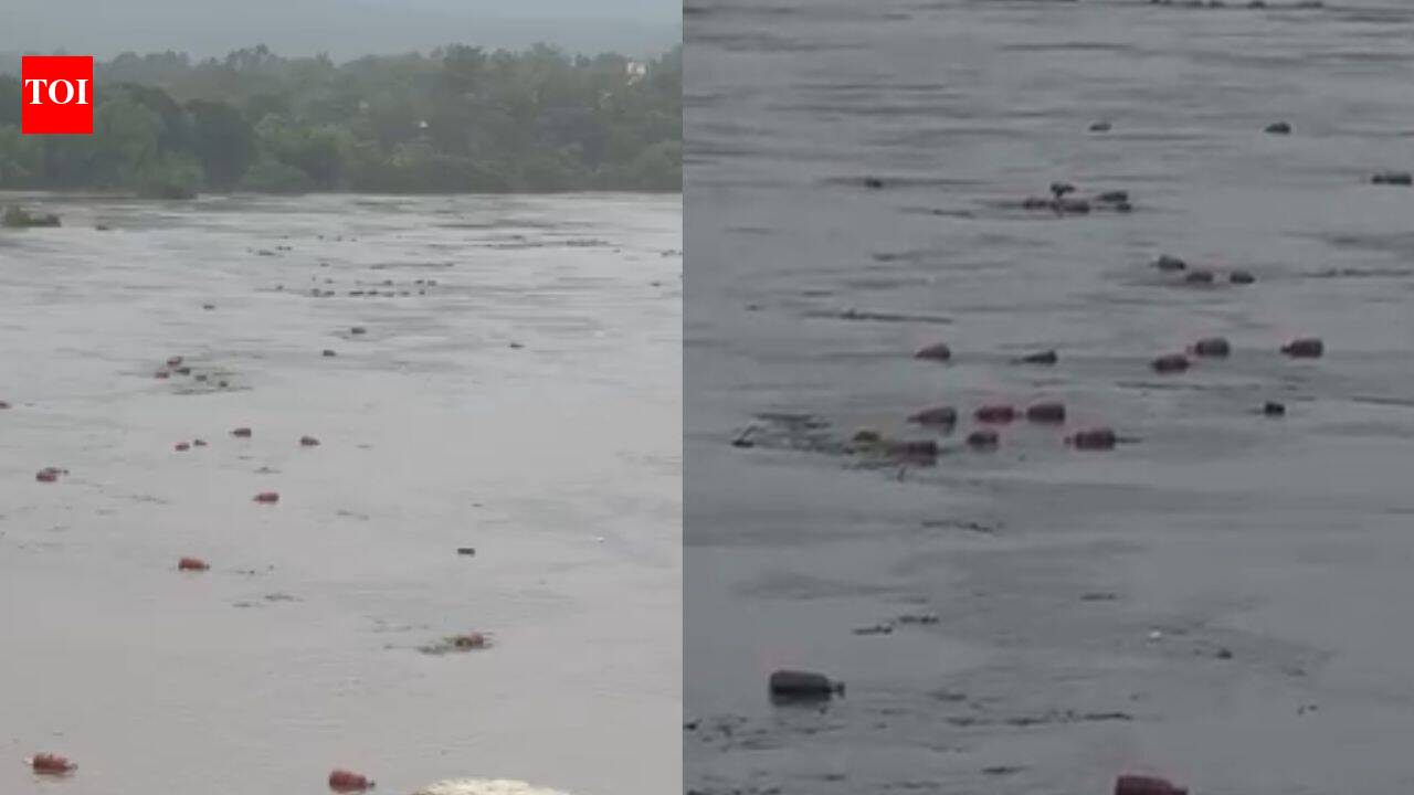 Watch: Heavy rain sends 3,000 LPG cylinders floating down river in Maharashtra's Raigad