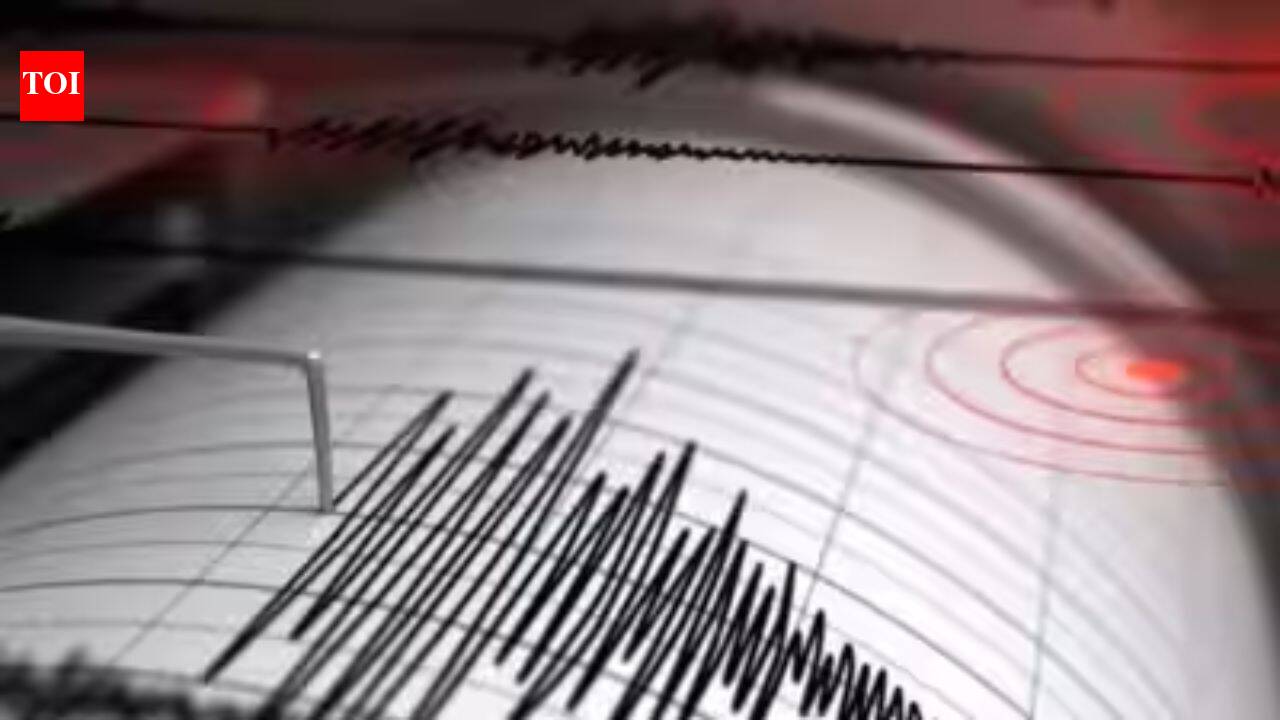 4 earthquakes jolt Marathwada in under two hours; no casualties reported
