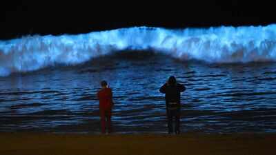 Why do California’s beaches glow blue at night and what causes this stunning bioluminescent phenomenon