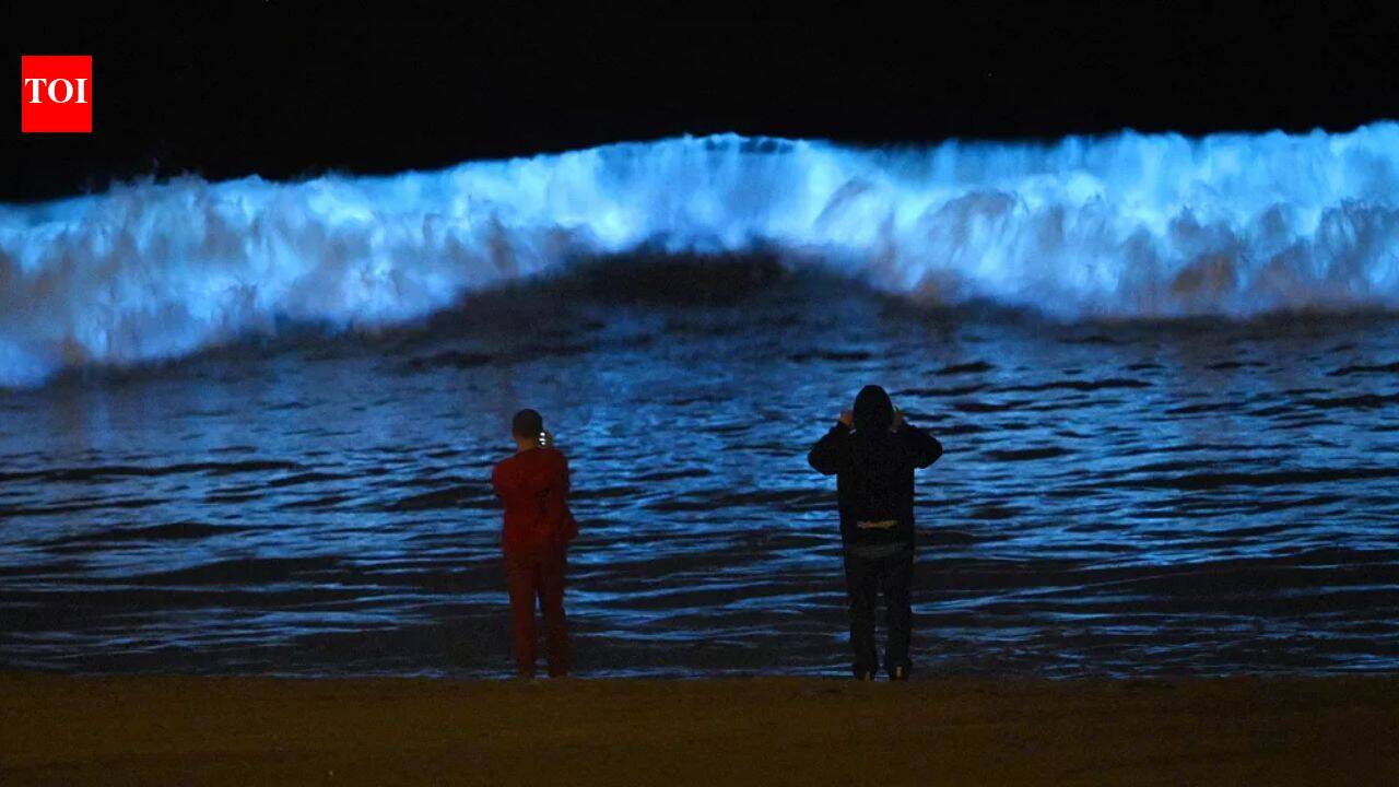 Why do California’s beaches glow blue at night and what causes this stunning bioluminescent phenomenon