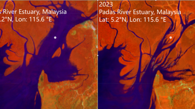Satellite images reveal global mangrove recovery: Nasa study shows forests springing back, but rising seas could still drown them