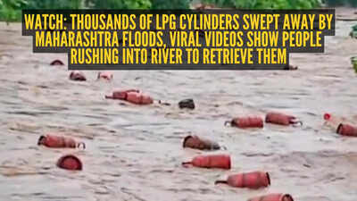  Floodwaters carry away 3,000 LPG cylinders in Maharashtra, videos show people rushing into river to grab them