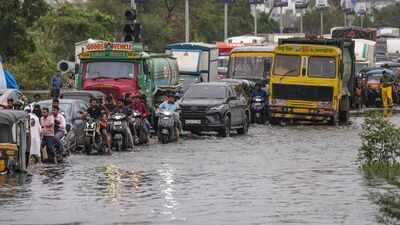 Delhi drenched: Tukhmirpur gets 160mm rainfall in 24 hours; uprooted trees and traffic chaos paralyse city
