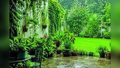 Rain, Repot, Repeat: Monsoon magic: The best time to dig, plant and grow