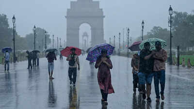 Monsoon covers entire India, reaches remaining parts of Rajasthan, Haryana and Punjab