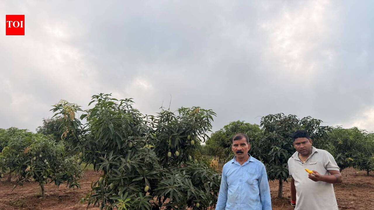 Hazaribag cook chooses dignity and financial independence, inspires farmers