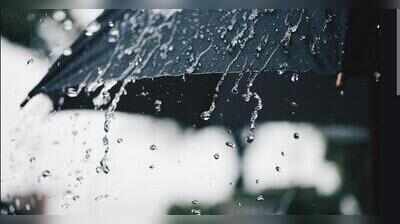 Timely showers revive kharif hopes, boost reservoir inflows in Dharwad