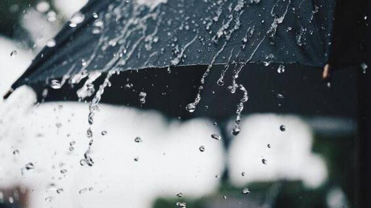 Timely showers revive kharif hopes, boost reservoir inflows in Dharwad
