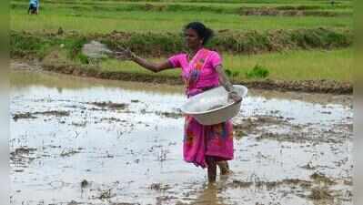 Jharkhand farmers advised crop diversification amid 42% rainfall deficit