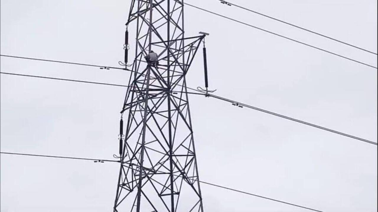 Woman scales tower in Muzaffarpur, insists on marrying female partner