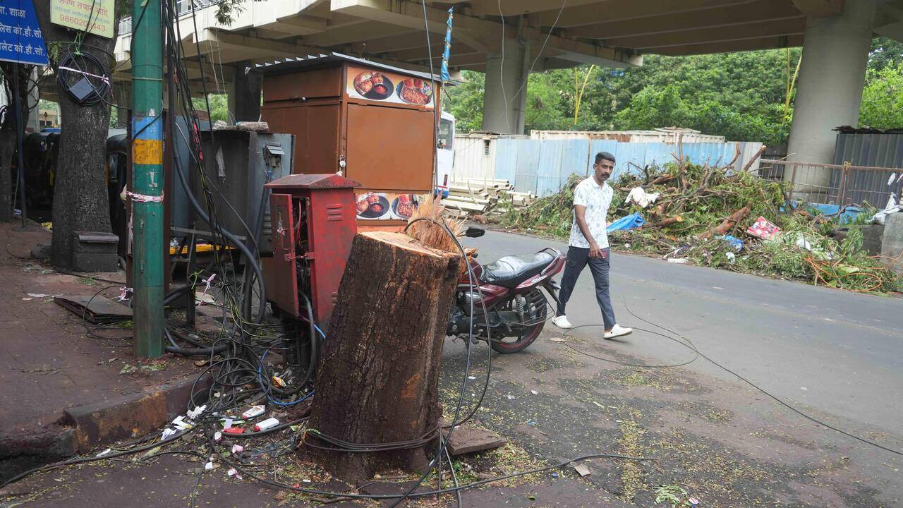 Thane sees 1st tree-crash death as plumber succumbs to injuries after 3 days in ICU; political storm erupts over tree safety