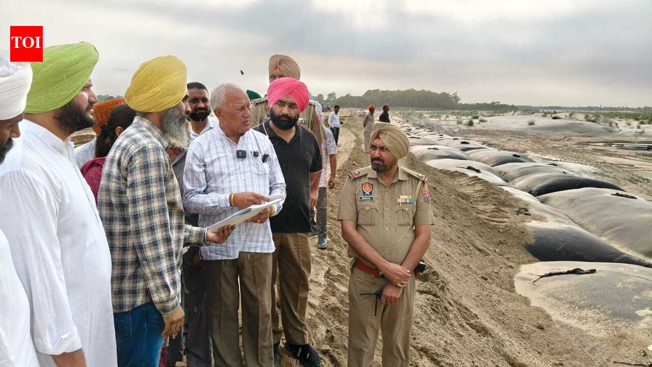 Water Resource Minister Reviews Satluj Embankment Works at Sasrali Colony