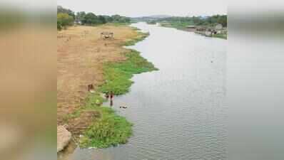 Expert panel disagrees with TN govt’s ₹1,875-cr reservoir plan in tiger reserve