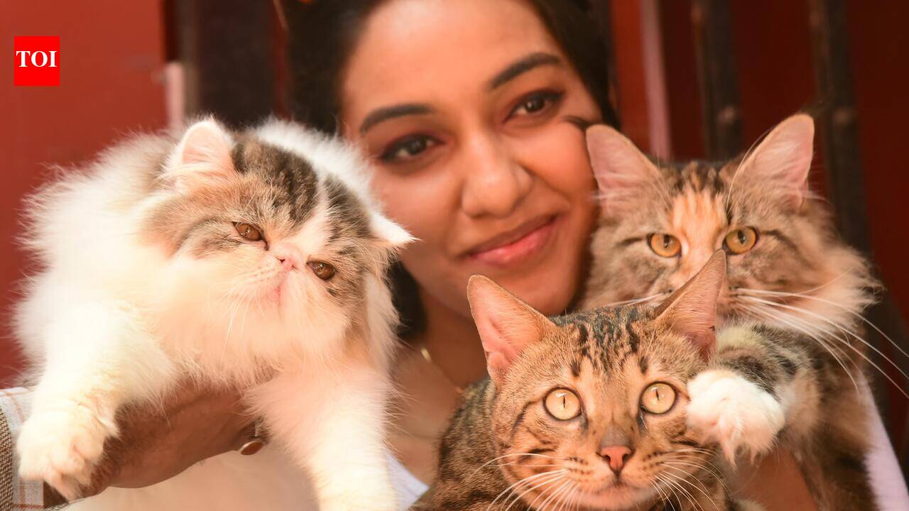 Pet cat registrations now a must; deadline Sep 30