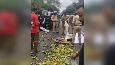 SUV rams into vegetable van, 2 die