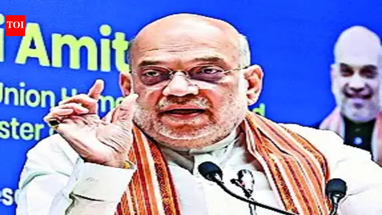 Amit Shah Highlights Impact of Illegal Immigration on India's Border Districts