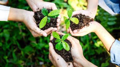 Are we losing the greens rapidly? Scientists finally have a timeline for when the last plants on Earth will die
