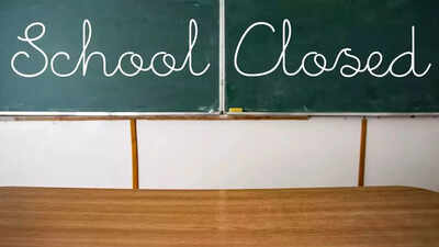 Will schools be closed today in Telangana? Private schools closed during holidays