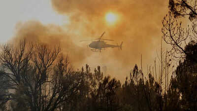 Watch: Massive wildfire turns sky orange in southern Spain as death toll rises to 12