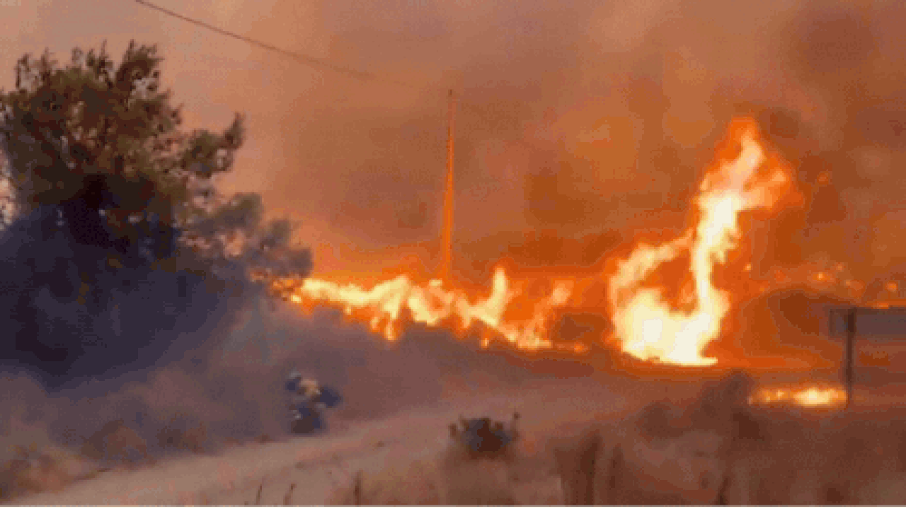 Watch: Massive wildfire turns sky orange in southern Spain as death toll rises to 12