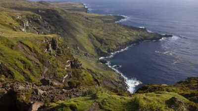 Six helicopters will drop 550 tons of poison on this island: Why a project is spending $10 million on this exercise