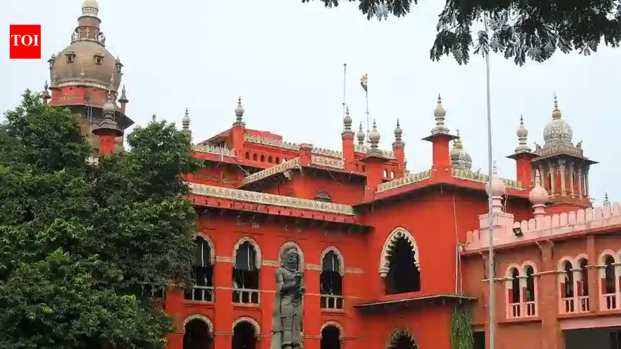 Madras high court allows TN govt’s appointment orders to Karur stampede victims, says jobs must be temporary