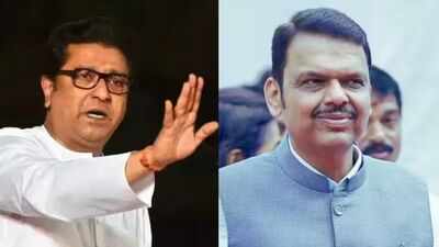  How is Maharashtra insulted when Missing Link is criticised?