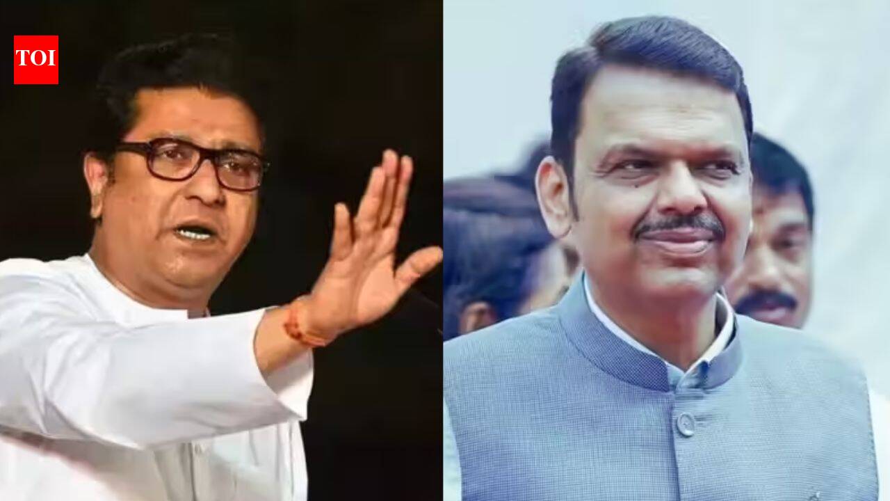 Raj Thackeray asks CM Devendra Fadnavis: How is Maharashtra insulted when Missing Link is criticised?