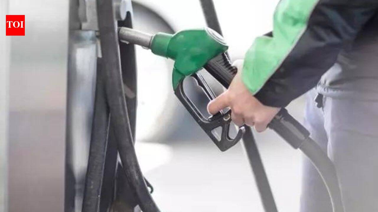 E20 costlier to produce than pure petrol: Government
