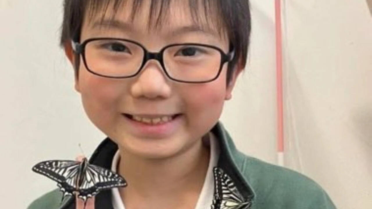 Did the butterflies remember him? Japanese student's discovery uncovers astonishing insect memory, publishes 33 page report